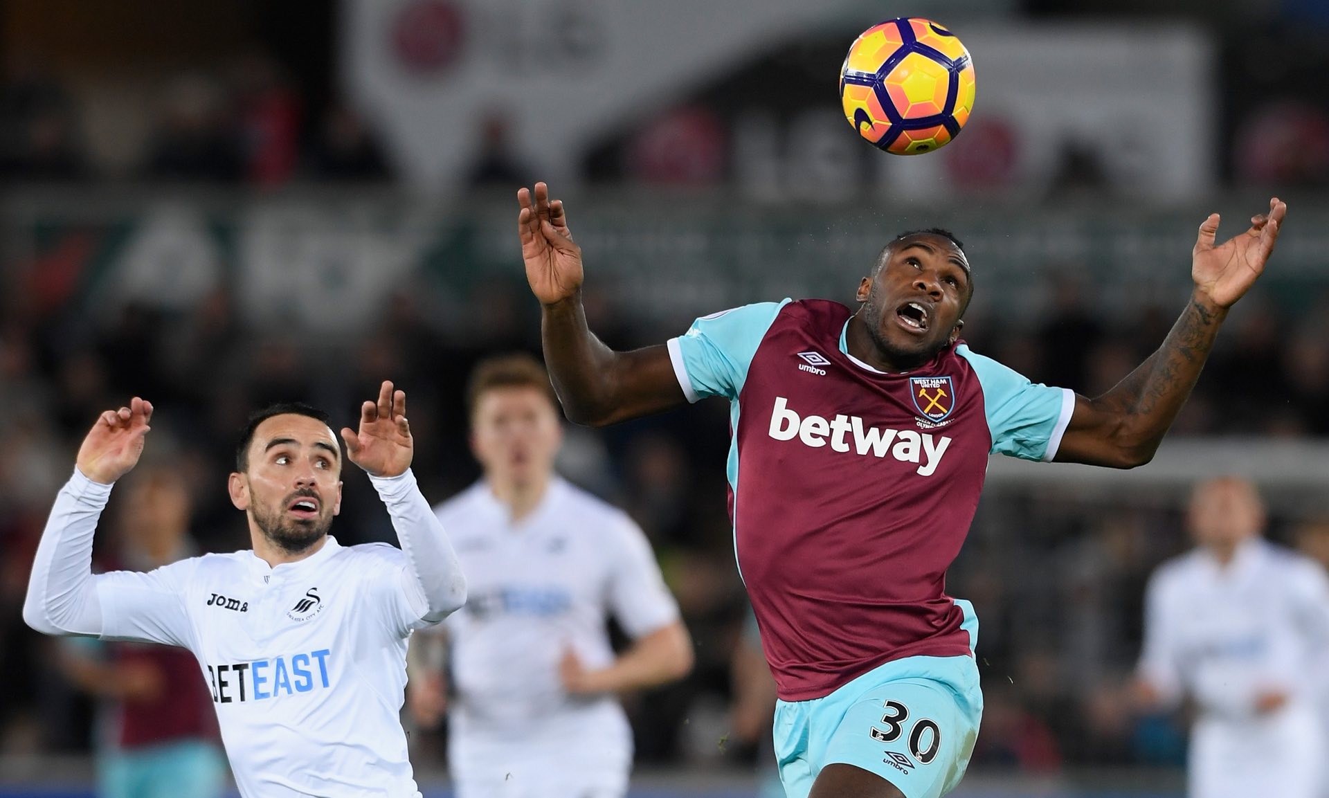 林诗栋的心 林诗栋的心